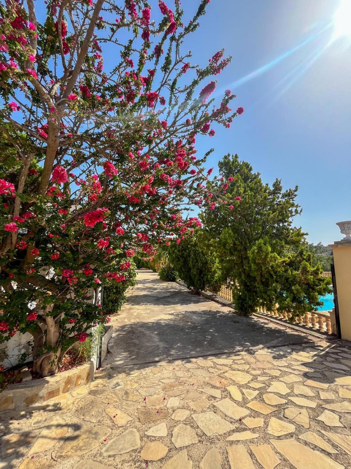 Casa Mar Benissa Calpe Apartment Exterior photo